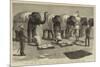 The End of the Afghan War, Elephants at Mess, Safaed Sung-Samuel Edmund Waller-Mounted Premium Giclee Print