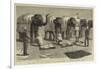 The End of the Afghan War, Elephants at Mess, Safaed Sung-Samuel Edmund Waller-Framed Giclee Print