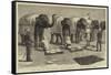 The End of the Afghan War, Elephants at Mess, Safaed Sung-Samuel Edmund Waller-Framed Stretched Canvas