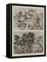 The End of the Zulu War, Incidents at Ulundi-Charles Edwin Fripp-Framed Stretched Canvas