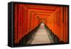 The Endless Red Gates of Kyoto's Fushimi Inari Shrine, Kyoto, Japan, Asia-Michael Runkel-Framed Stretched Canvas