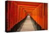 The Endless Red Gates of Kyoto's Fushimi Inari Shrine, Kyoto, Japan, Asia-Michael Runkel-Stretched Canvas