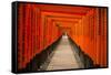 The Endless Red Gates of Kyoto's Fushimi Inari Shrine, Kyoto, Japan, Asia-Michael Runkel-Framed Stretched Canvas