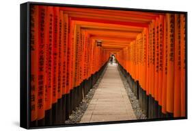 The Endless Red Gates of Kyoto's Fushimi Inari Shrine, Kyoto, Japan, Asia-Michael Runkel-Framed Stretched Canvas