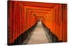 The Endless Red Gates of Kyoto's Fushimi Inari Shrine, Kyoto, Japan, Asia-Michael Runkel-Stretched Canvas