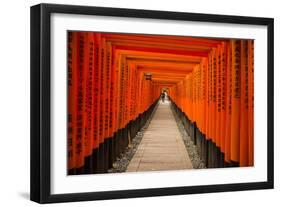 The Endless Red Gates of Kyoto's Fushimi Inari Shrine, Kyoto, Japan, Asia-Michael Runkel-Framed Photographic Print