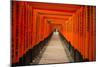 The Endless Red Gates of Kyoto's Fushimi Inari Shrine, Kyoto, Japan, Asia-Michael Runkel-Mounted Photographic Print