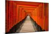 The Endless Red Gates of Kyoto's Fushimi Inari Shrine, Kyoto, Japan, Asia-Michael Runkel-Mounted Photographic Print