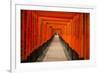 The Endless Red Gates of Kyoto's Fushimi Inari Shrine, Kyoto, Japan, Asia-Michael Runkel-Framed Photographic Print