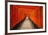 The Endless Red Gates of Kyoto's Fushimi Inari Shrine, Kyoto, Japan, Asia-Michael Runkel-Framed Photographic Print