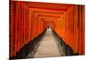 The Endless Red Gates of Kyoto's Fushimi Inari Shrine, Kyoto, Japan, Asia-Michael Runkel-Mounted Photographic Print