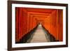 The Endless Red Gates of Kyoto's Fushimi Inari Shrine, Kyoto, Japan, Asia-Michael Runkel-Framed Photographic Print