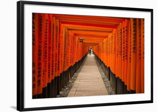 The Endless Red Gates of Kyoto's Fushimi Inari Shrine, Kyoto, Japan, Asia-Michael Runkel-Framed Photographic Print