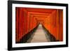 The Endless Red Gates of Kyoto's Fushimi Inari Shrine, Kyoto, Japan, Asia-Michael Runkel-Framed Photographic Print