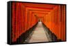 The Endless Red Gates of Kyoto's Fushimi Inari Shrine, Kyoto, Japan, Asia-Michael Runkel-Framed Stretched Canvas