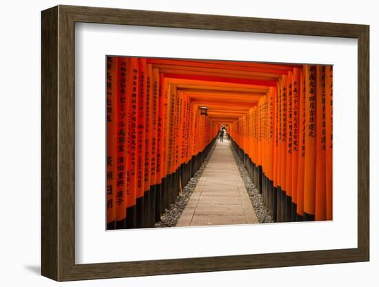 The Endless Red Gates of Kyoto's Fushimi Inari Shrine, Kyoto, Japan, Asia-Michael Runkel-Framed Photographic Print