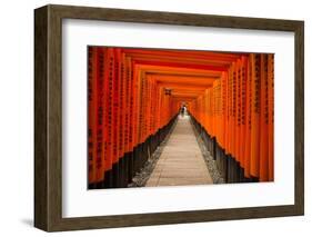 The Endless Red Gates of Kyoto's Fushimi Inari Shrine, Kyoto, Japan, Asia-Michael Runkel-Framed Photographic Print