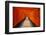 The Endless Red Gates of Kyoto's Fushimi Inari Shrine, Kyoto, Japan, Asia-Michael Runkel-Framed Photographic Print