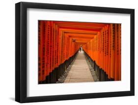 The Endless Red Gates of Kyoto's Fushimi Inari Shrine, Kyoto, Japan, Asia-Michael Runkel-Framed Photographic Print