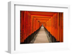 The Endless Red Gates of Kyoto's Fushimi Inari Shrine, Kyoto, Japan, Asia-Michael Runkel-Framed Photographic Print