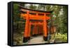 The Endless Red Gates (Torii) of Kyoto's Fushimi Inari Shrine, Kyoto, Japan, Asia-Michael Runkel-Framed Stretched Canvas