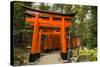 The Endless Red Gates (Torii) of Kyoto's Fushimi Inari Shrine, Kyoto, Japan, Asia-Michael Runkel-Stretched Canvas