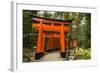 The Endless Red Gates (Torii) of Kyoto's Fushimi Inari Shrine, Kyoto, Japan, Asia-Michael Runkel-Framed Photographic Print