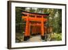 The Endless Red Gates (Torii) of Kyoto's Fushimi Inari Shrine, Kyoto, Japan, Asia-Michael Runkel-Framed Photographic Print