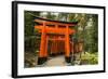 The Endless Red Gates (Torii) of Kyoto's Fushimi Inari Shrine, Kyoto, Japan, Asia-Michael Runkel-Framed Photographic Print