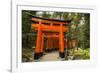 The Endless Red Gates (Torii) of Kyoto's Fushimi Inari Shrine, Kyoto, Japan, Asia-Michael Runkel-Framed Photographic Print