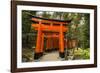 The Endless Red Gates (Torii) of Kyoto's Fushimi Inari Shrine, Kyoto, Japan, Asia-Michael Runkel-Framed Photographic Print