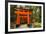 The Endless Red Gates (Torii) of Kyoto's Fushimi Inari Shrine, Kyoto, Japan, Asia-Michael Runkel-Framed Photographic Print