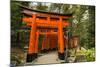 The Endless Red Gates (Torii) of Kyoto's Fushimi Inari Shrine, Kyoto, Japan, Asia-Michael Runkel-Mounted Photographic Print