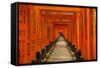 The Endless Red Gates (Torii) of Kyoto's Fushimi Inari Shrine, Kyoto, Japan, Asia-Michael Runkel-Framed Stretched Canvas