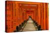 The Endless Red Gates (Torii) of Kyoto's Fushimi Inari Shrine, Kyoto, Japan, Asia-Michael Runkel-Stretched Canvas