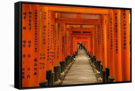 The Endless Red Gates (Torii) of Kyoto's Fushimi Inari Shrine, Kyoto, Japan, Asia-Michael Runkel-Framed Stretched Canvas