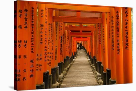 The Endless Red Gates (Torii) of Kyoto's Fushimi Inari Shrine, Kyoto, Japan, Asia-Michael Runkel-Stretched Canvas