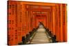 The Endless Red Gates (Torii) of Kyoto's Fushimi Inari Shrine, Kyoto, Japan, Asia-Michael Runkel-Stretched Canvas