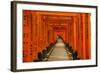 The Endless Red Gates (Torii) of Kyoto's Fushimi Inari Shrine, Kyoto, Japan, Asia-Michael Runkel-Framed Photographic Print