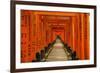 The Endless Red Gates (Torii) of Kyoto's Fushimi Inari Shrine, Kyoto, Japan, Asia-Michael Runkel-Framed Photographic Print