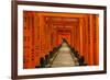 The Endless Red Gates (Torii) of Kyoto's Fushimi Inari Shrine, Kyoto, Japan, Asia-Michael Runkel-Framed Photographic Print