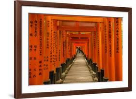 The Endless Red Gates (Torii) of Kyoto's Fushimi Inari Shrine, Kyoto, Japan, Asia-Michael Runkel-Framed Photographic Print