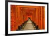 The Endless Red Gates (Torii) of Kyoto's Fushimi Inari Shrine, Kyoto, Japan, Asia-Michael Runkel-Framed Photographic Print