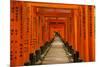 The Endless Red Gates (Torii) of Kyoto's Fushimi Inari Shrine, Kyoto, Japan, Asia-Michael Runkel-Mounted Photographic Print