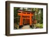 The Endless Red Gates (Torii) of Kyoto's Fushimi Inari Shrine, Kyoto, Japan, Asia-Michael Runkel-Framed Photographic Print