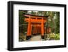 The Endless Red Gates (Torii) of Kyoto's Fushimi Inari Shrine, Kyoto, Japan, Asia-Michael Runkel-Framed Photographic Print