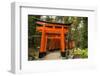 The Endless Red Gates (Torii) of Kyoto's Fushimi Inari Shrine, Kyoto, Japan, Asia-Michael Runkel-Framed Photographic Print