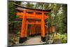 The Endless Red Gates (Torii) of Kyoto's Fushimi Inari Shrine, Kyoto, Japan, Asia-Michael Runkel-Mounted Photographic Print