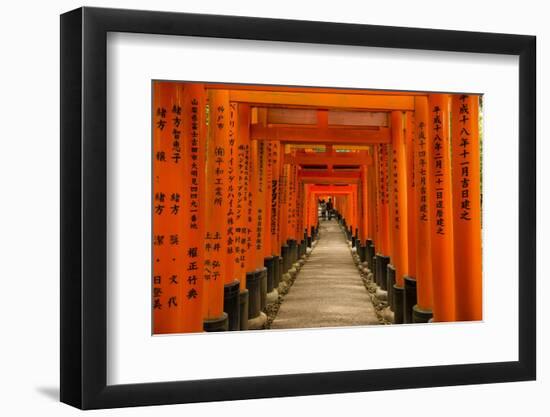 The Endless Red Gates (Torii) of Kyoto's Fushimi Inari Shrine, Kyoto, Japan, Asia-Michael Runkel-Framed Photographic Print