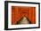 The Endless Red Gates (Torii) of Kyoto's Fushimi Inari Shrine, Kyoto, Japan, Asia-Michael Runkel-Framed Photographic Print